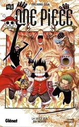 One piece 43