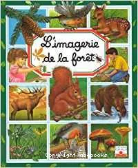 L'imagerie de la foret