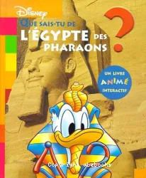 Que sais-tu de l'Egypte des pharaons?