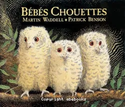 Bébés chouettes