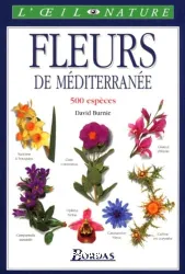 Fleurs de méditéranée