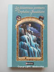 Les désastreuses aventures des Orphelins Baudelaire T10