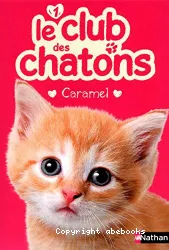 Le club des chatons