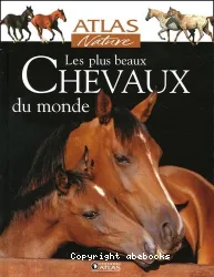 Les plus chevaux du monde