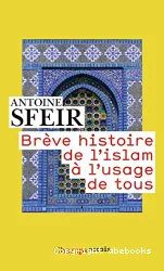 Breve histoire de l'islam a l'usage de tous