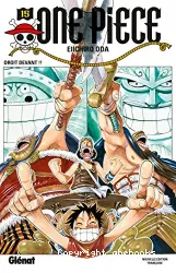 One piece 15