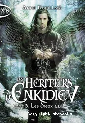 Les heritiers d'enkidiev tome 3 les dieux ailés