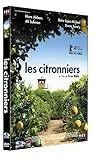 Les citronniers