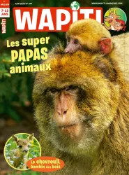 WAPITI, N°399 - Juin 2020 - Les supers Papas animaux