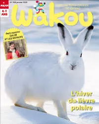 Wakou, N°358 - Janvier 2019 - L'hiver du liévre polaire