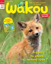 Wakou, N°3351 - juin 2017 - A quoi tu joues, renard roux?