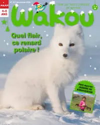 Wakou, N°357 - Decembre 2018 - Quel flair ce renard polaire!