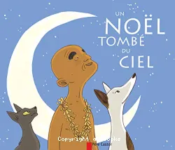 Un Noël tombé du ciel