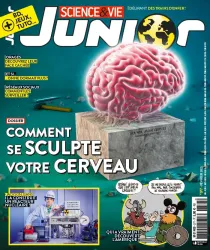 Science & Vie Junior, N°377 - Février 2021 - Comment se sculpte votre cerveau