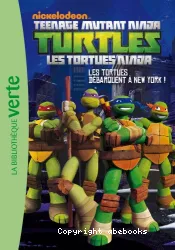 Les tortues débarquent à New York !