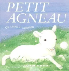 Petit agneau