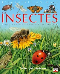 Les insectes