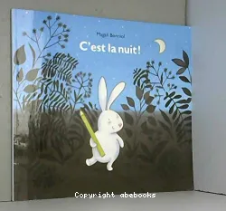 C'est la nuit!