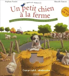 Un petit chien à la ferme