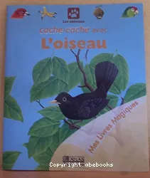 Cache-cache avec l'oiseau